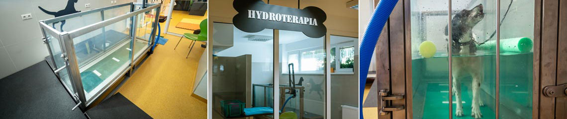 hydroterapia pre psov